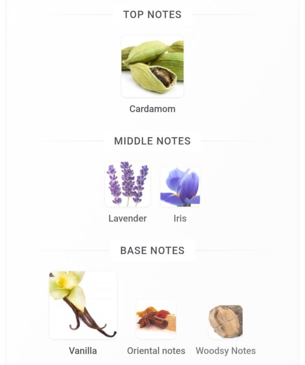 Grandeur Le Nuit milestone
جرانديور لا نوي من مايلستون ١٠٠ملي