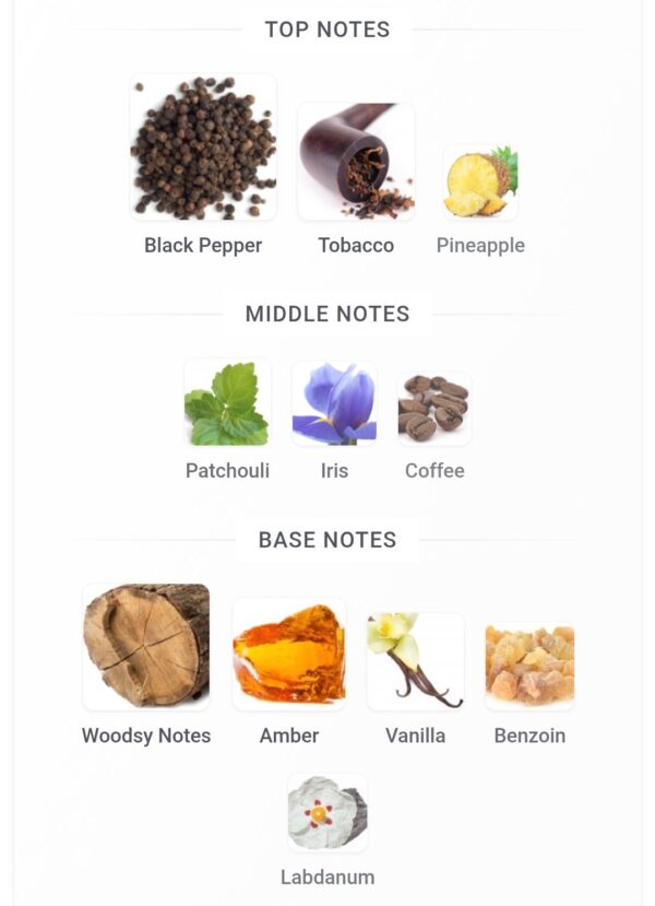 Salvo Elixir 60ml
سالڤو اليكزير من الهامبرا ٦٠ملي