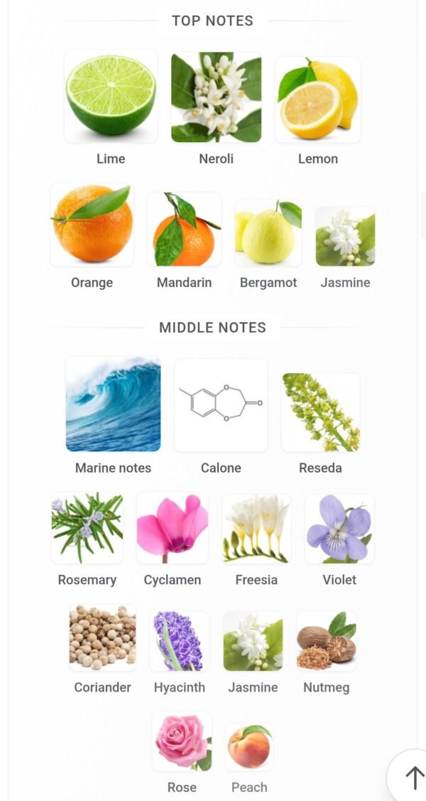 Jorge Di Profumo Aqua 100ml
چورچي دي برفومو اكوا من الهامبرا ١٠٠ملي