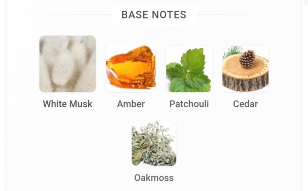 Jorge Di Profumo Aqua 100ml
چورچي دي برفومو اكوا من الهامبرا ١٠٠ملي