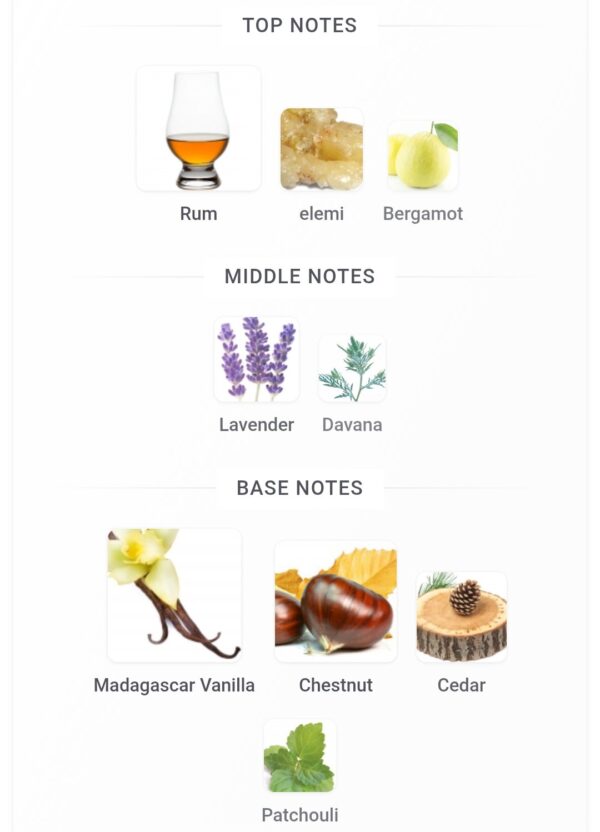 Stronger With You Absolutely 100ml
سترونجر وذ يو ابسولوت ١٠٠ملي