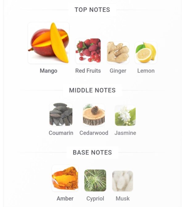 Marigold Le Bonheur 100ml
ماري جولد لابونير الماس ١٠٠ملي