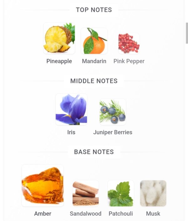 Legend Collection Laverne ( 100ml Perfume + 50ml Body Mist )