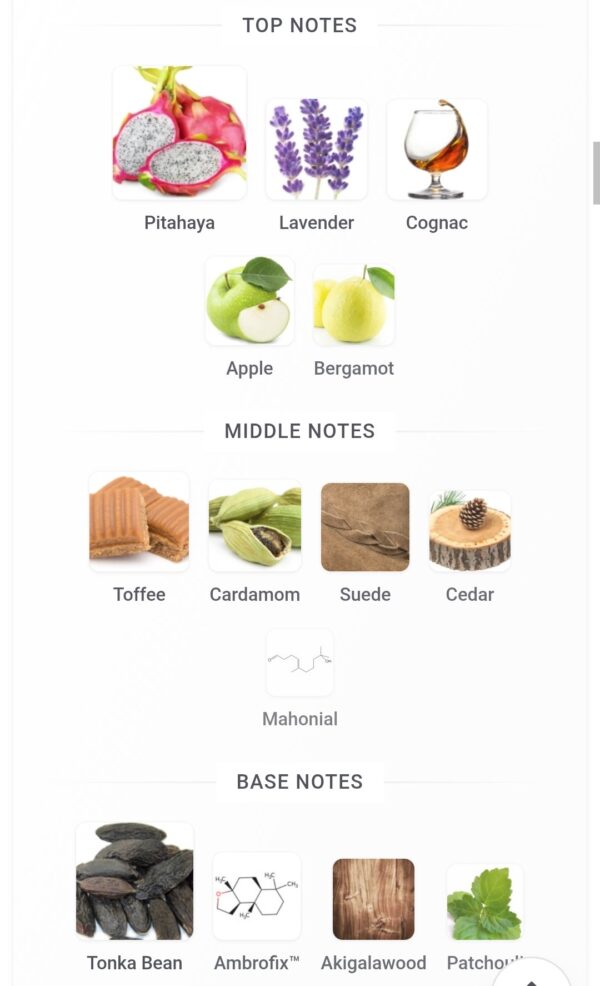 9PM Night Out Afnan 100ml
ناين بي ام نايت اوت ١٠٠ملي من افنان