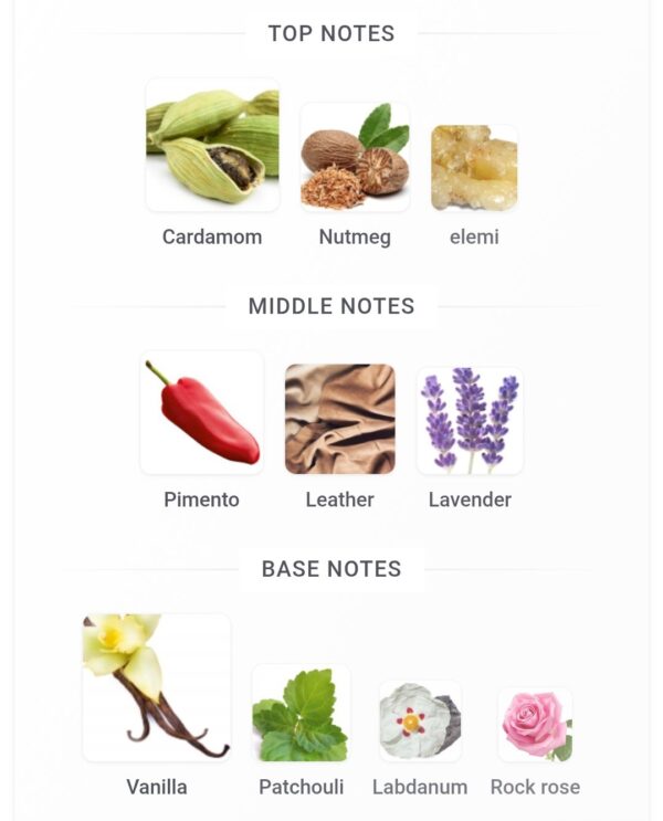 9PM Elixir 100ml
ناين بي ام اليكزير من افنان ١٠٠ملي