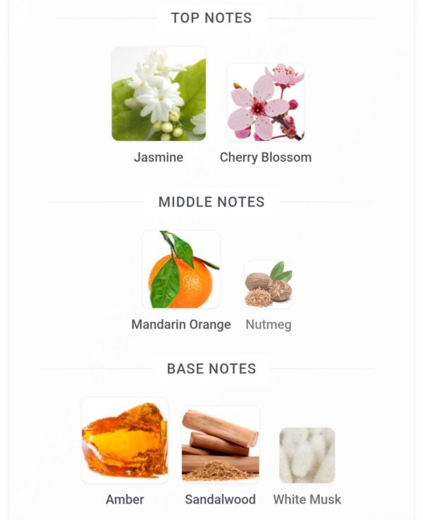 Night Saphire Laverne 200ml
نايت سفاير من لافيرن ٢٠٠ملي