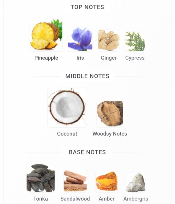 Khadlaj Island 100ml
خادلاچ ايلاند ١٠٠ملي