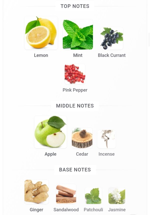 9AM Dive Tester Batch 2024
ناين دايف تستر بوكس علامة مائية قديمة