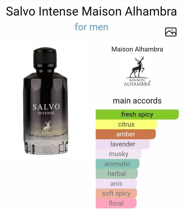 Salvo Intense 100ml
سالڤو انتنس ١٠٠ملي من الهامبرا