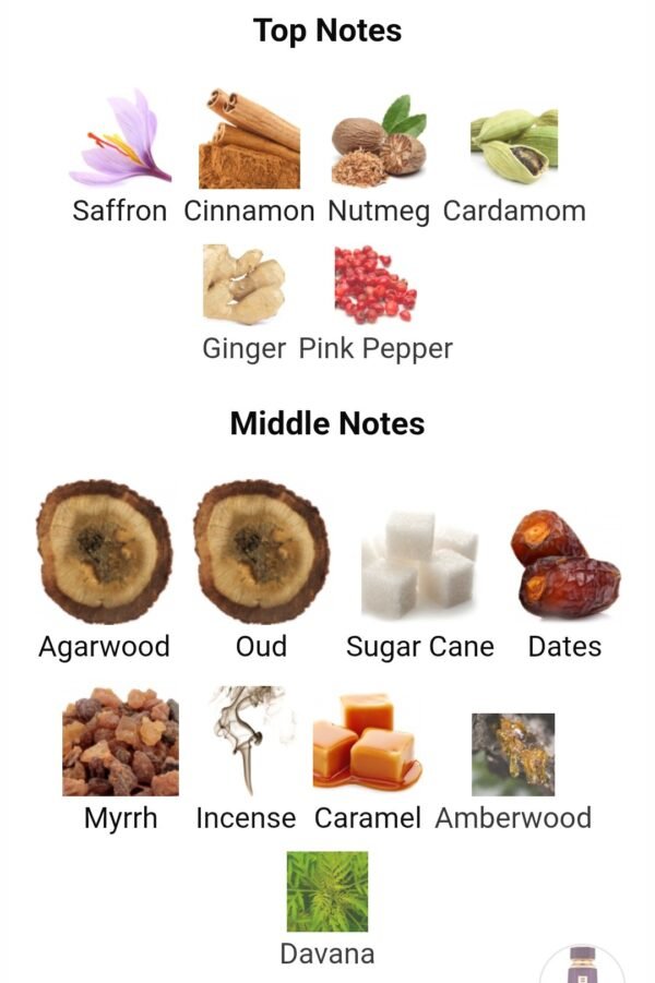Cocoa Morado French Avenue
كوكوا مورادو من  فرينش افينو ١٠٠ملي