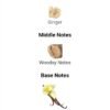 Azzaro Most Wanted Parfum
ازارو ذا موست ونتد بارفم ١٠٠ملي