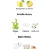 MEGARA (50ML)
ميجارا من ( ميزون الهامبرا) ٥٠ملي
