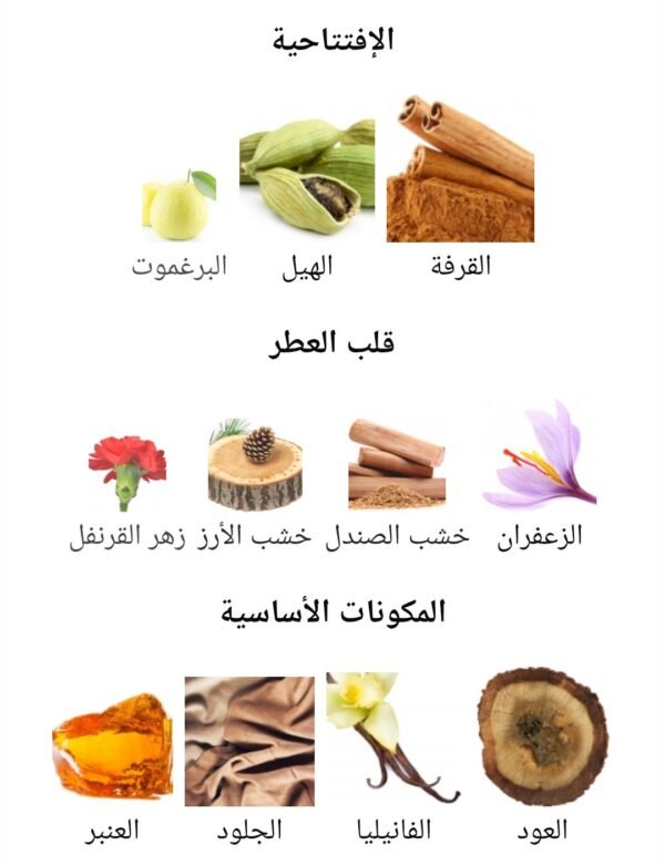QAA'ED LATTAFA
قائد من (لطافة)