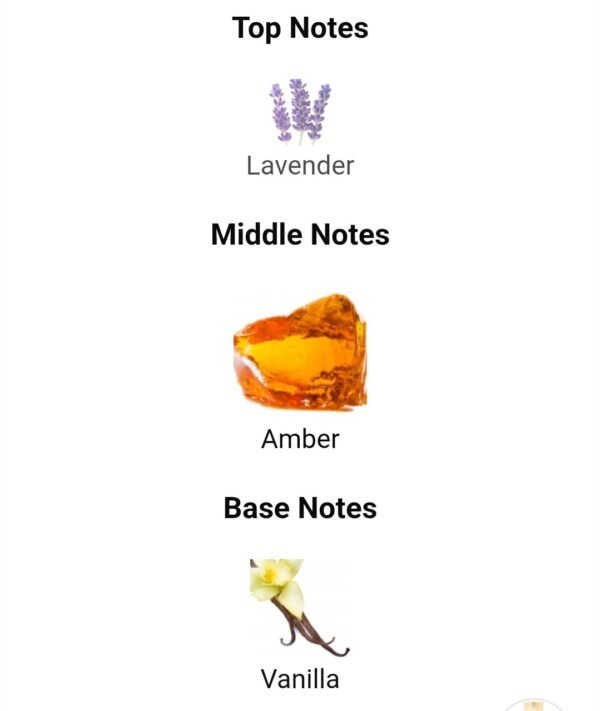 Your Touch Amber 100ml
يور تاتش عنبر ١٠٠ملي من ميزون الهامبرا