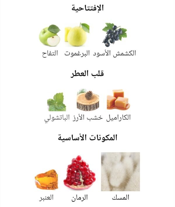 Pomegranate Musk 75ml Ibraq
مسك الرمان ٧٥ملي من ابراق