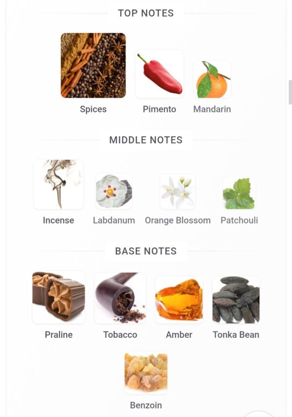 Khamra Dukhan 100ml
خمره دخان ١٠٠ملي