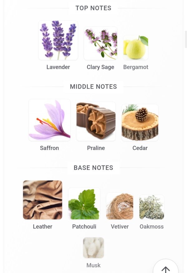 An Equestrian Series Haydan
ان اكويستريان هايدن ١٠٠ملي