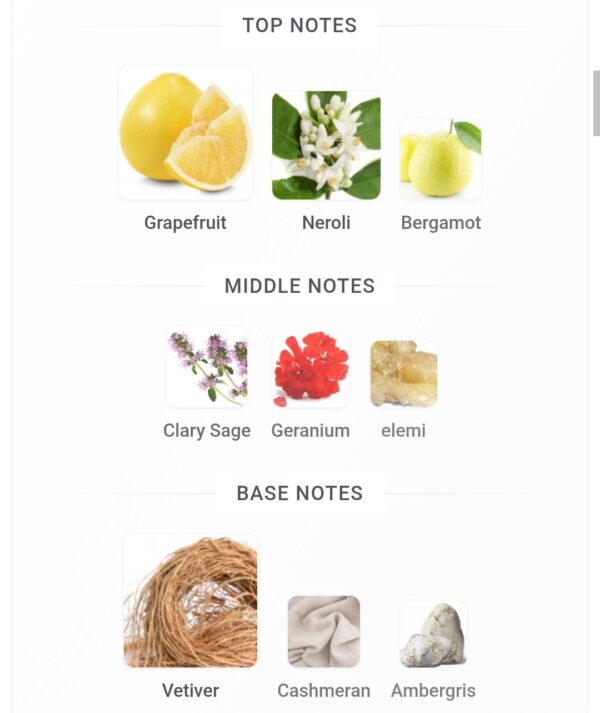 An Equestrian Series Pierce
ان اكويستريان بييرس  ١٠٠ملي