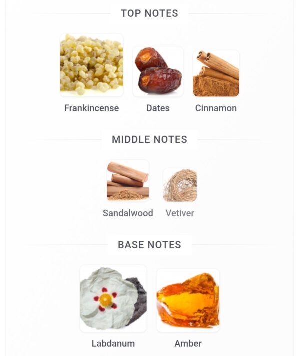 Shabaz Amber Fragrance World
شاباز عنبر  ١٠٠ملي من فراجرانس وورلد