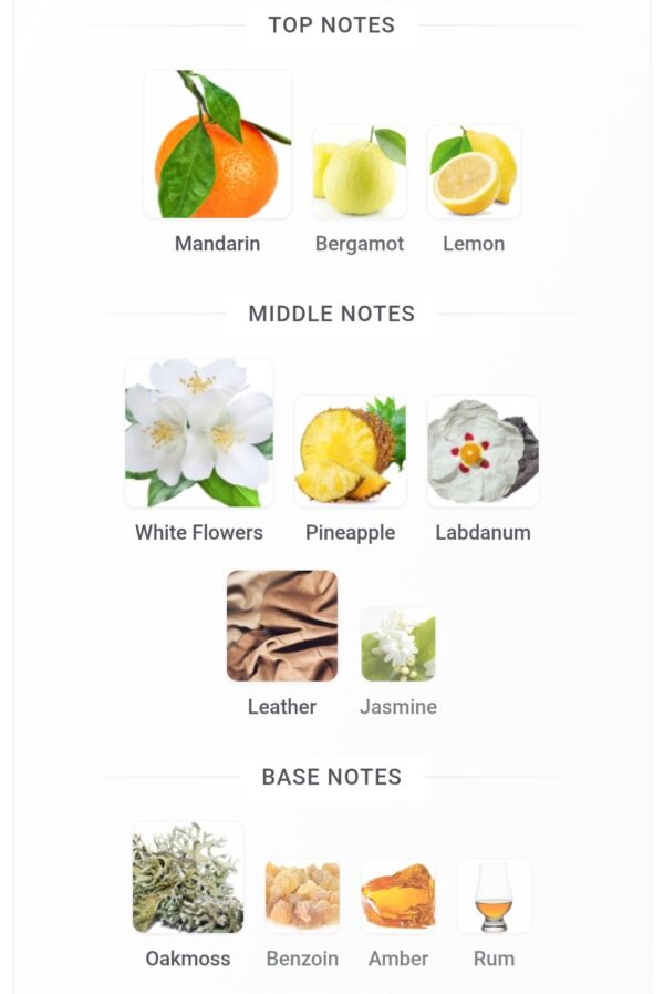 Divin Vert fragrance world 100ml
ديڤاين ڤيرت ١٠٠ملي من فراجرانس وورلد