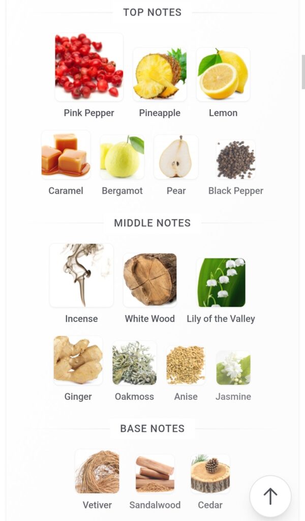 Venti Absolu 100ml
ڤينتي ابسولو ١٠٠ملي من فراجرانس وورلد