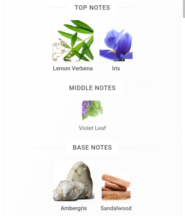 Venti Green Tweed 100ml
ڤينتي جرين تويد ١٠٠ملي فراجرانس وورلد