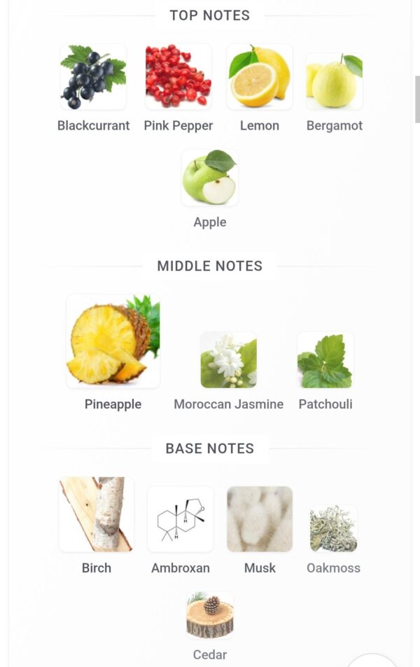 Venti 100ml Fragrance World
ڤينتي ١٠٠ملي من فراجرانس وورلد