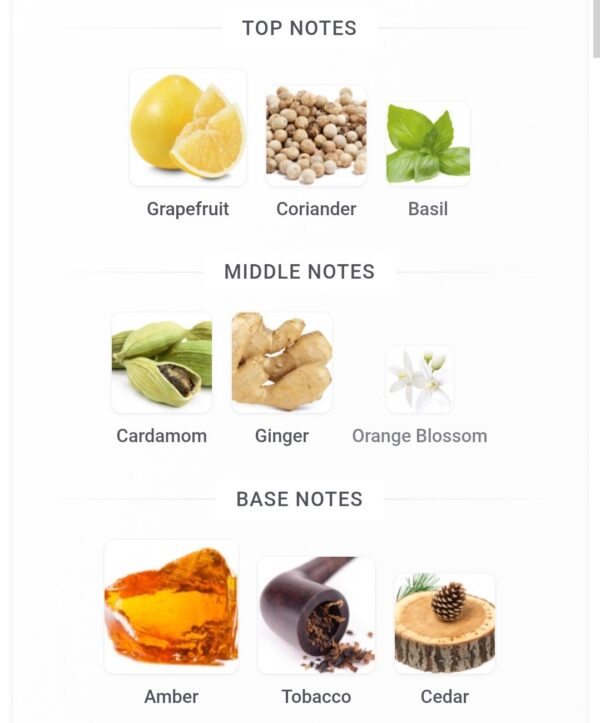 Optimistic Black Exclusive
اوبتمستك بلاك ١٠٠ملي فراجرانس وورلد