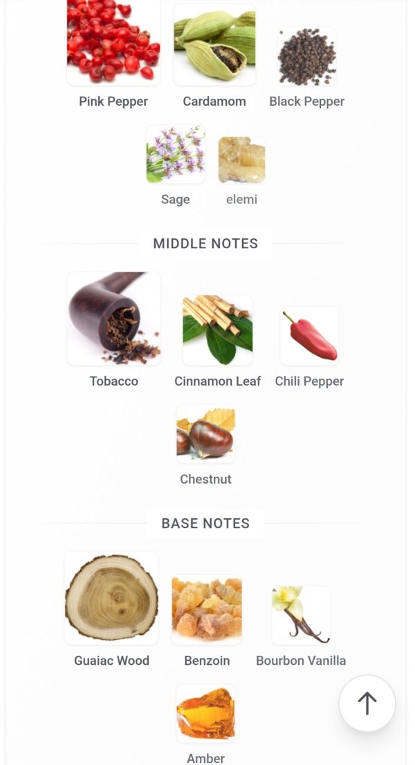 Proud Of You Tobacco 100ml
براود اوف يو توباكو ١٠٠ملي