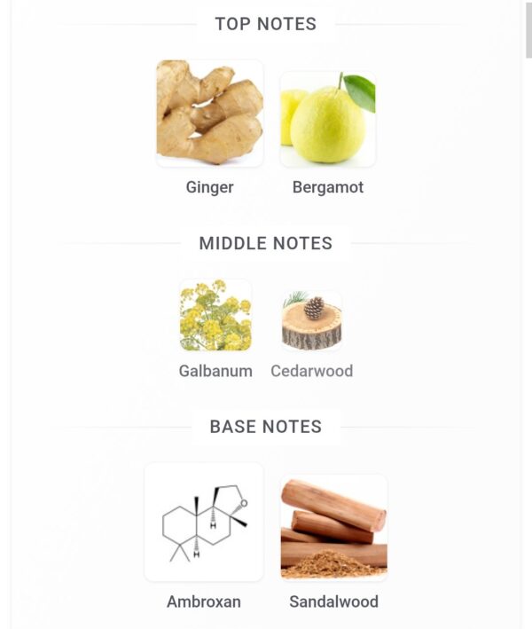 Genesis Gemini 100ml FA
چينيسز چيميناي ١٠٠ملي من فرينش افينو