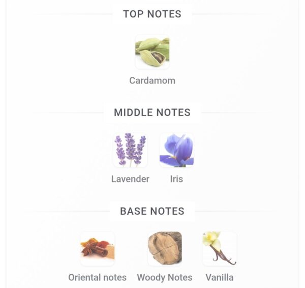 Urban Man Le Parfum 100ml
اربان مان لو بارفم ١٠٠ملي فراجرانس وورلد