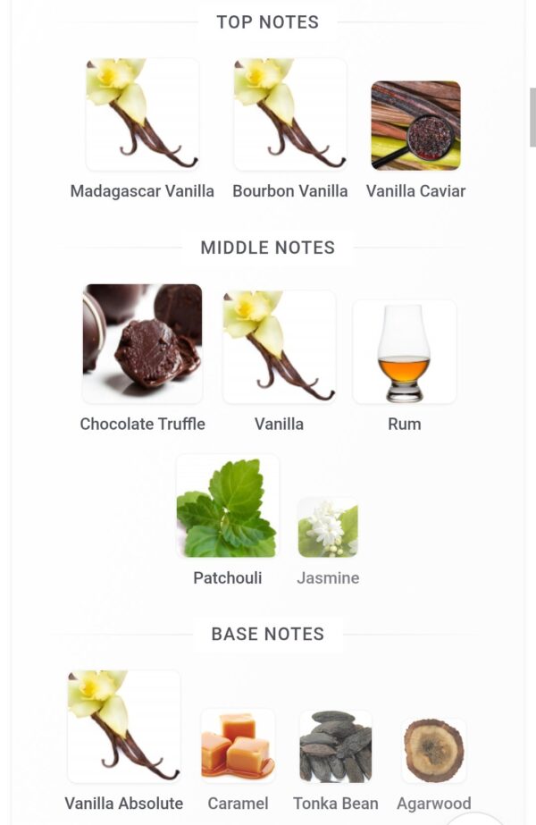 X Scandal Aromatix 100ml
اكس سكاندال ١٠٠ملي اروماتكس