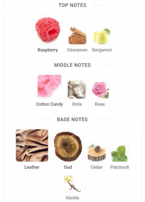 Carnal Desire Aromatix 100ml
كارنال ديزاير ١٠٠ملي اروماتكس