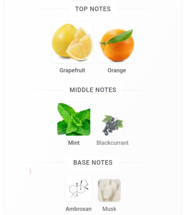 Pinance 100ml French Aveneu 
بينانس ١٠٠ملي من فرينش افينو