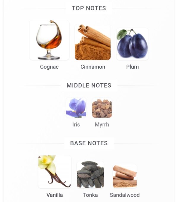 Royal Blend Extrait 100ml
رويال بليند اكستريت ١٠٠ملي فرينش افينو