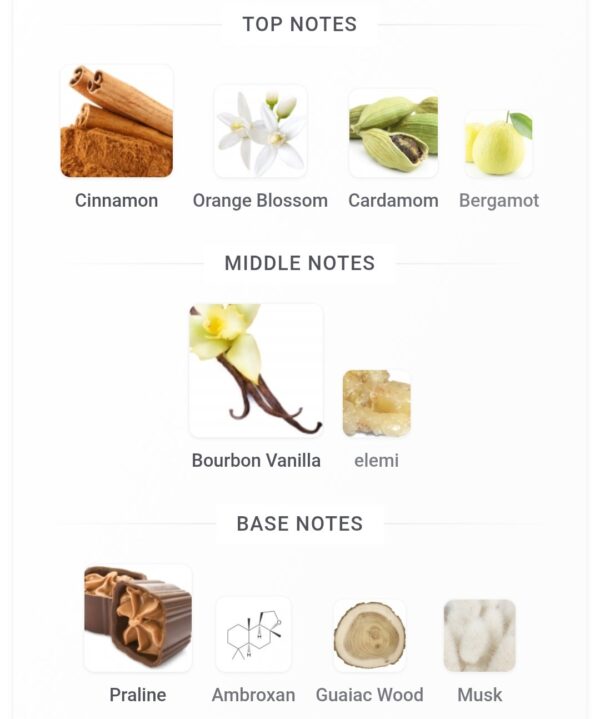 Liquid Brun 100ml FA
ليكويد برون ١٠٠ملي من فرينش افينو