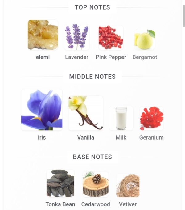 Thunder 100ml FA
ثاندر ١٠٠ملي من فرينش افينو