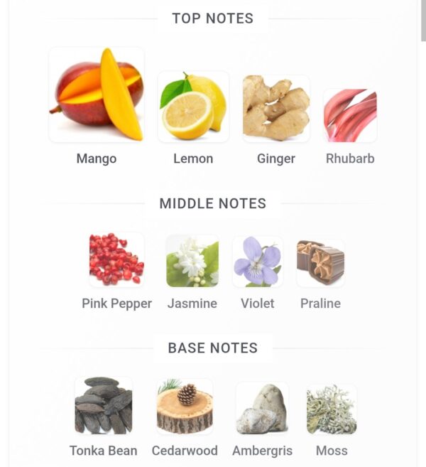 Vulcan Feu 100ml FA
ڤولكان ڤو ١٠٠ملي من فرينش افينو