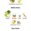 Mawj Appletini Paris Corner
موچ ابلينتي من باريس كورنر