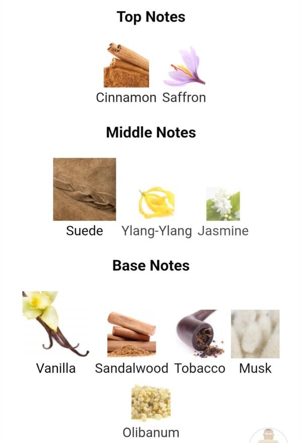 Notes Jazz 100ml
نوتس چاز من فراجرانس وورلد ١٠٠ملي