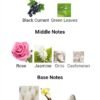 Miss Laverne for your bag
(100ml+10ml)
ميس لافيرن حقيبتك ( عطر ١٠٠ملي / دلايه ١٠ملي )