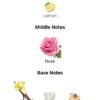 Ishtar Roses Vanilla 110ml
عشتار روز فانيلا ١١٠ملي