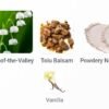 Musk Silk Ajmal 12 grams
مسك سلك من اچمل توله ١٢ جرام