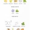 The Story Le Bonheur 100ml
ذا ستوري من لابونير الماس ١٠٠ملي