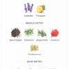 Maahir Legacy 100ml
ماهر ليجاسي لطافة ١٠٠ملي