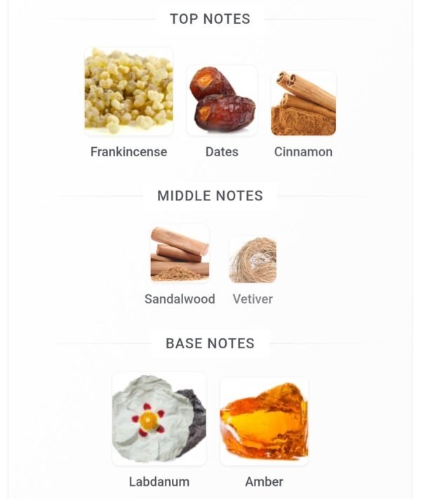 Shabaz Amber Fragrance World
شاباز عنبر  ١٠٠ملي من فراجرانس وورلد