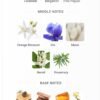 Magnetiq Aromatix 100ml
ماجنيتك ١٠٠ملي اروماتكس