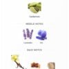 Le Male Le Parfum JPG 125ml
لومال لو بارفم من جين بول جوتيه ١٢٥ملي
