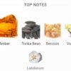 Amber Grand 100ml
عنبر جراند من باريس كورنر ١٠٠ملى