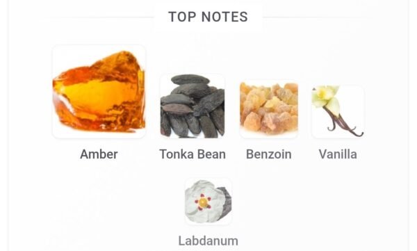 Amber Grand 100ml
عنبر جراند من باريس كورنر ١٠٠ملى